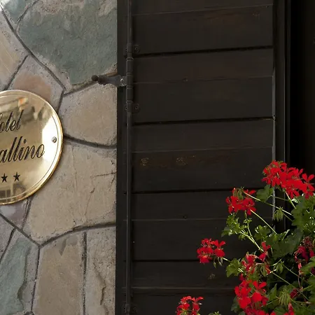 Il Cavallino - & Sappada