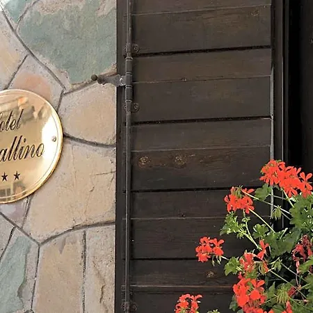 Il Cavallino - &