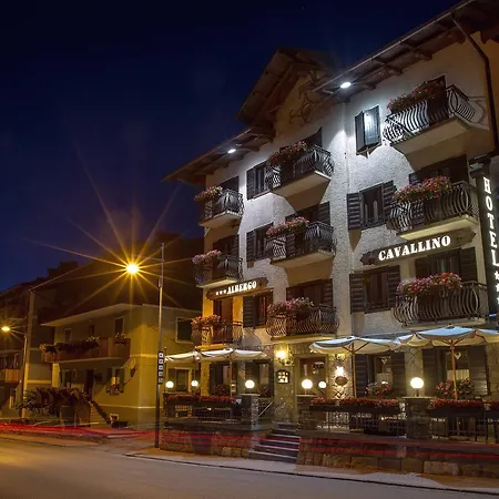 Hotel Il Cavallino - &