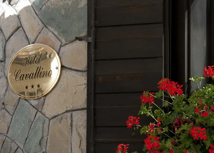 Il Cavallino - & Sappada